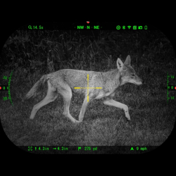 Lunette numérique connectée jour et nuit ATN X-Sight-5 5-25x avec télémètre laser