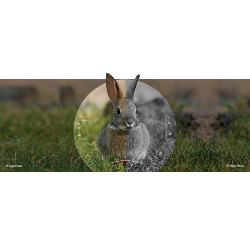 PACK Lunette jour et nuit HIKMICRO ALPEX 4K LITE A40E + Lampe IR 940nm + Support de lampe IR